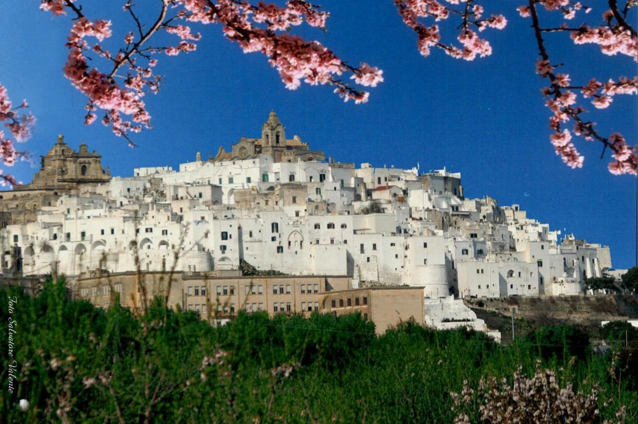 Villa Trullo Ramachandra Carovigno Eksteriør billede